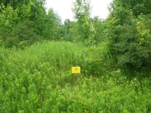 Parcel 20 County Road O - Photo 1