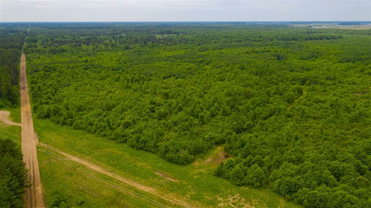 160 Acres MOL Range Road - Photo 1