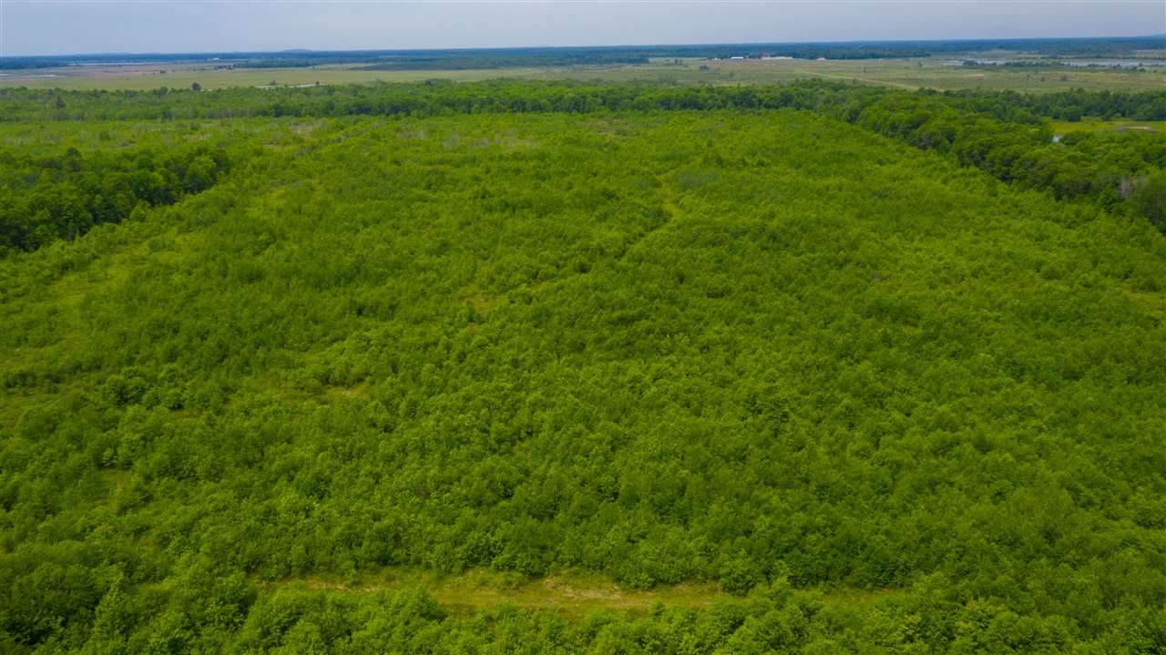 112.3 Acres MOL Marsh Road - Photo 1