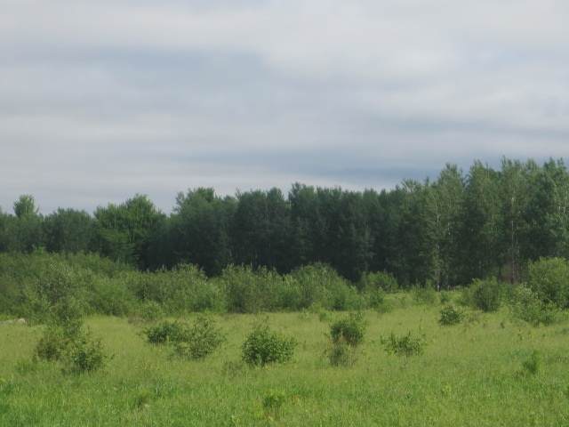 77.5 A County Road S - Photo 1