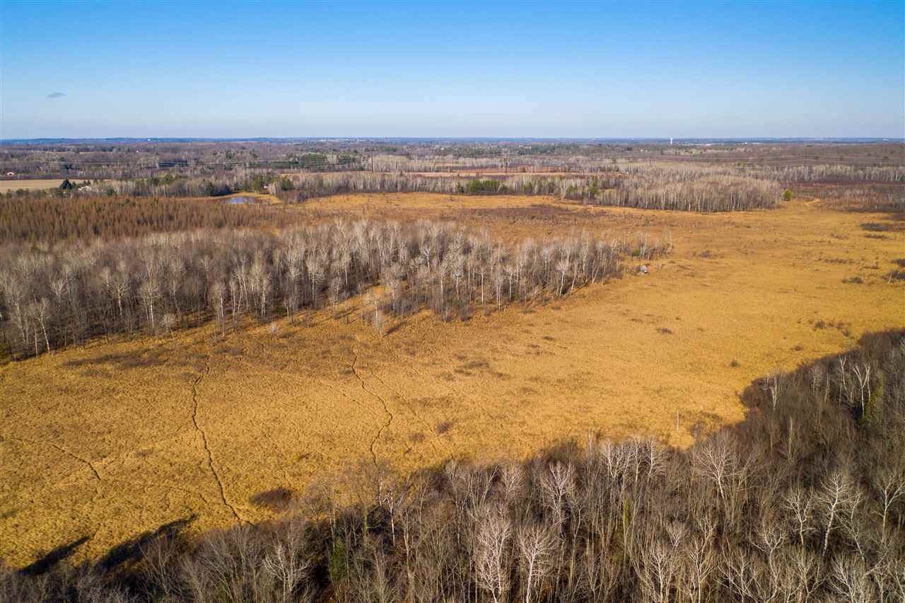 160 Acres Martin Road - Photo 1