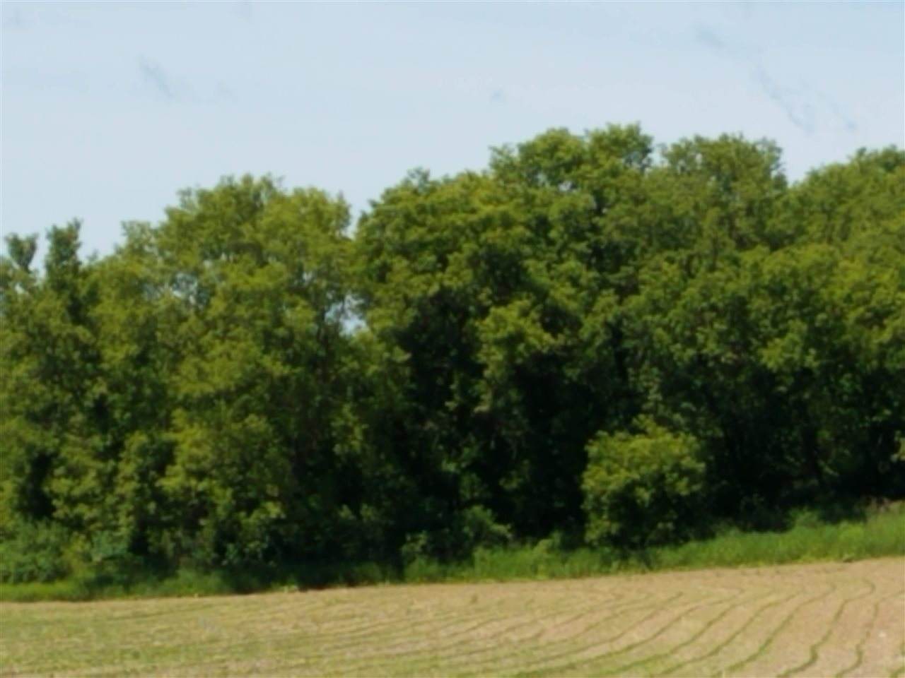 State Highway 131 - Photo 1