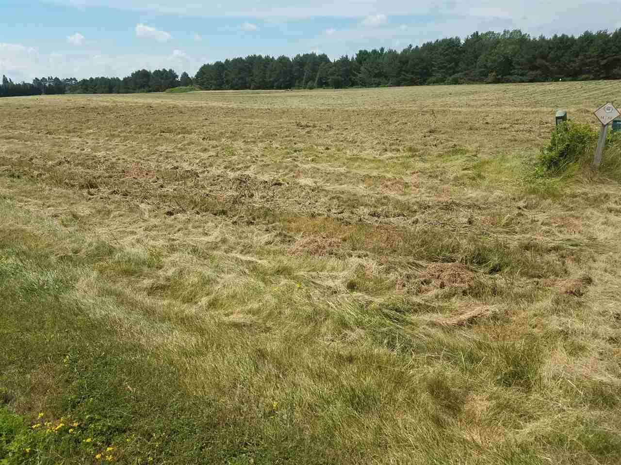 Lot #2 Prairie River Savannah - Photo 1