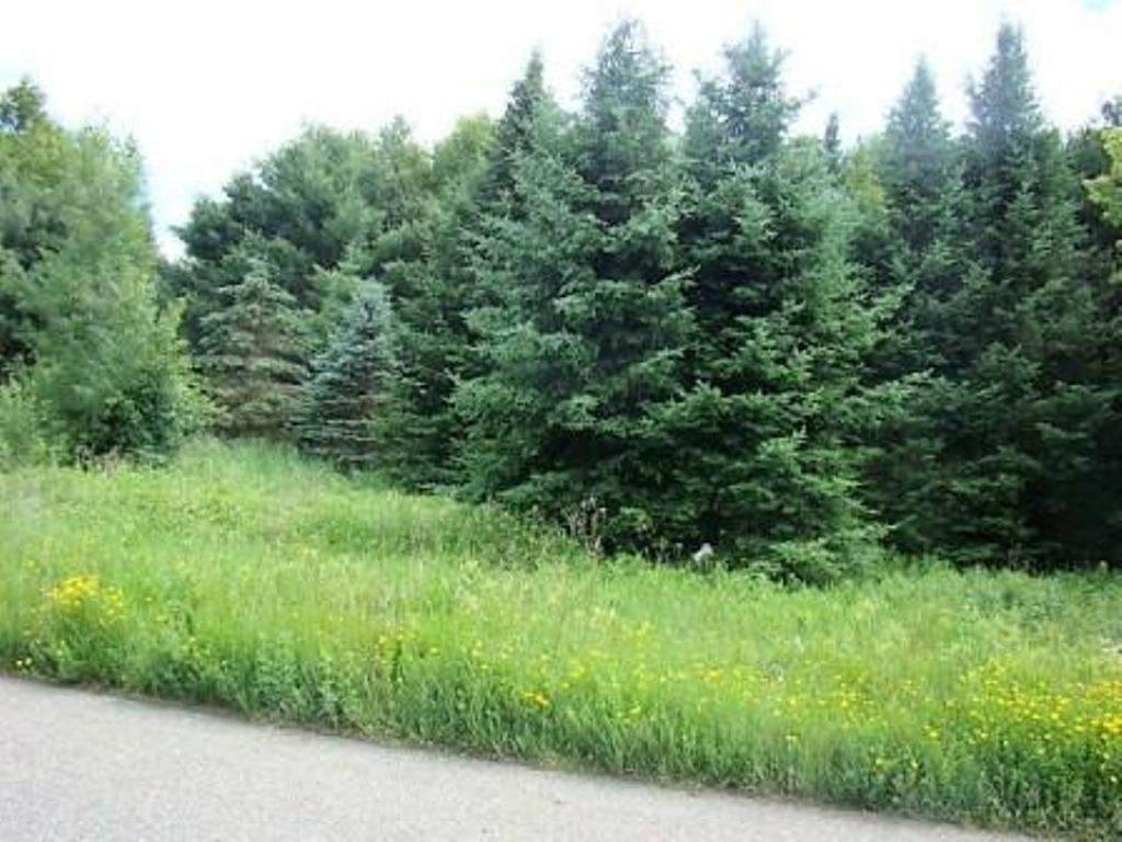 Lot #13 Prairie River Savannah - Photo 1