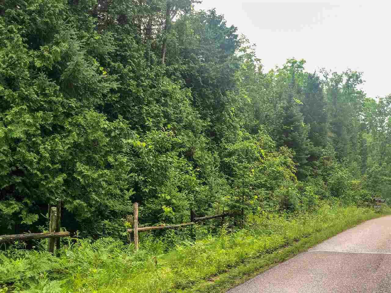 Lot #10 & #11 Shore Drive - Photo 1
