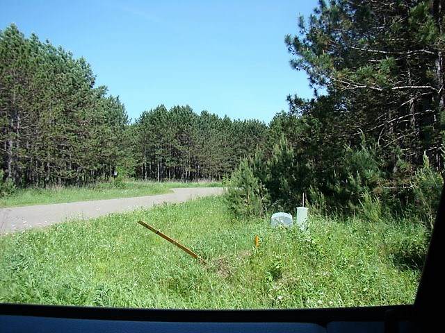 Lot #8 Crooked Pine - Photo 1