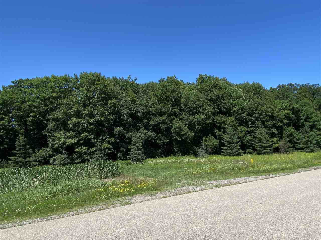Lot 10 Frontage Road - Photo 1