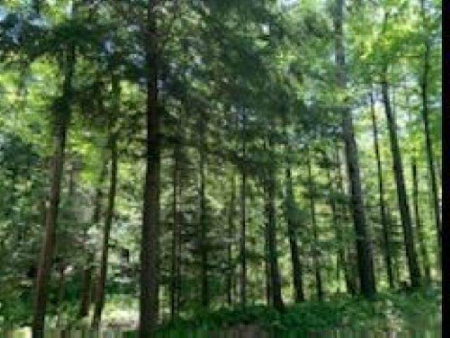 W4325 Copper Lake Road - Photo 1