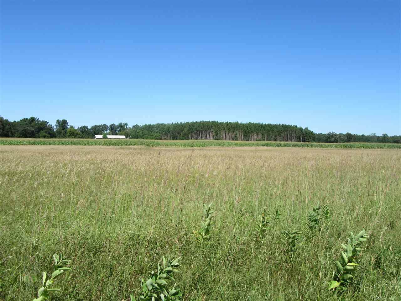 5520 Jordan Road - Photo 1