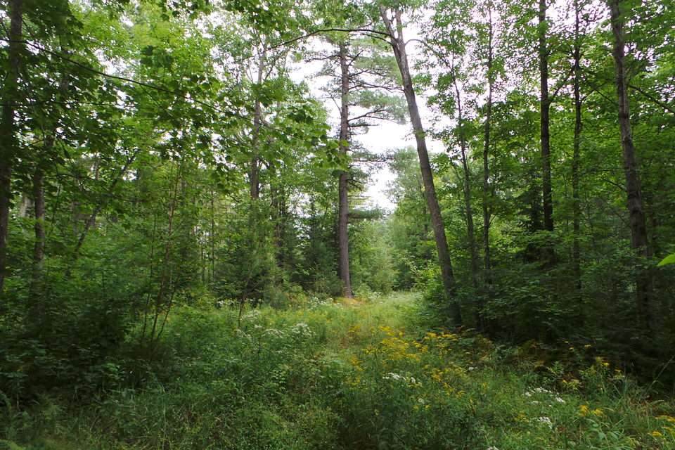 000 Bjorklund Road - Photo 1