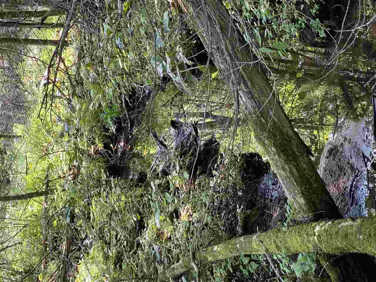 00 Highway 45 - Photo 1