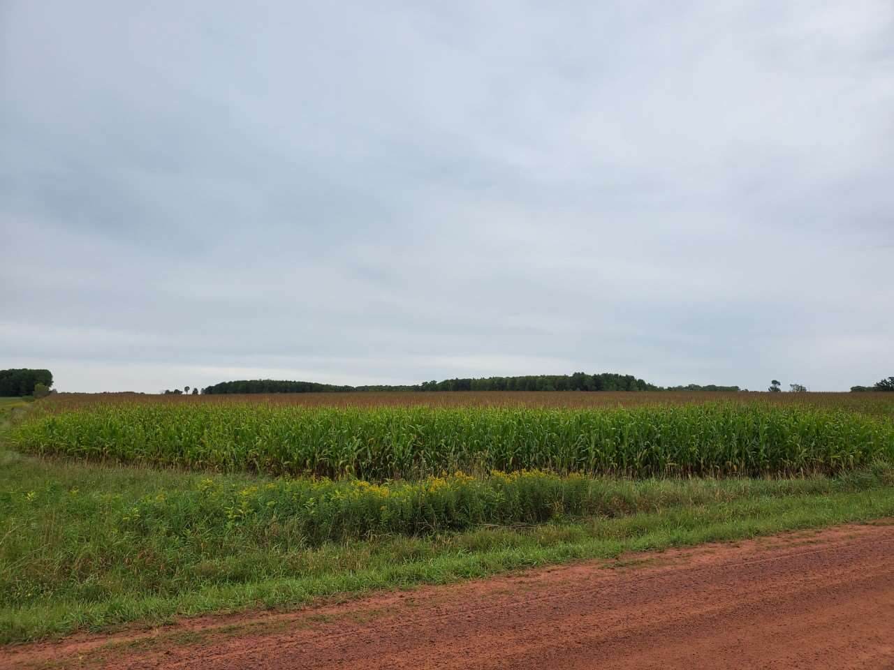 153RD ROAD - Photo 1