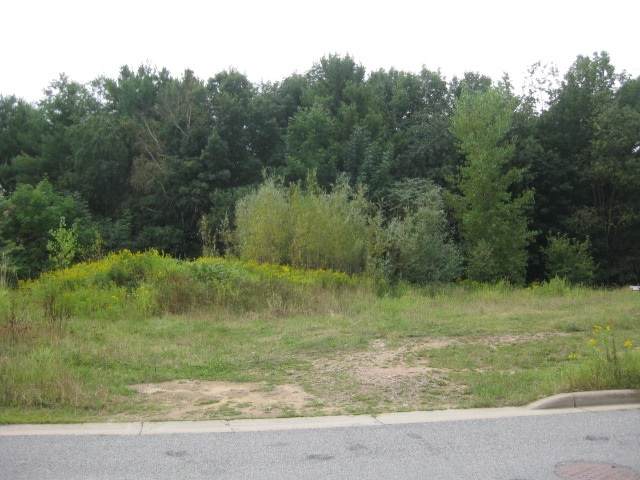 2207 Fantail Avenue - Photo 1