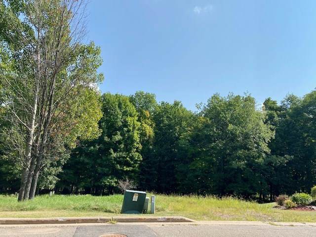 Lot 25 & 26 Kingbird Avenue - Photo 1