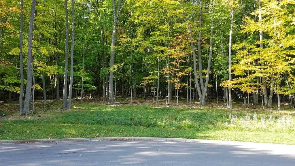 Lot 31 Buck Wood Lane - Photo 1