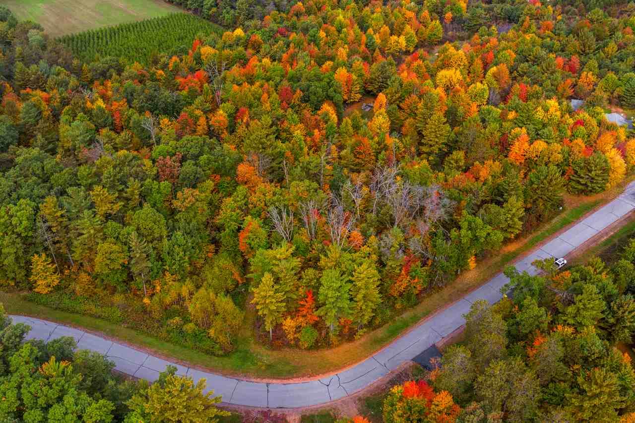 Lot 24-Grandview Bea Dubay Drive - Photo 1