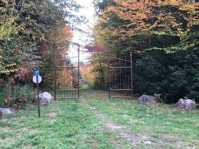Brady Lane Tamarack Road - Photo 1
