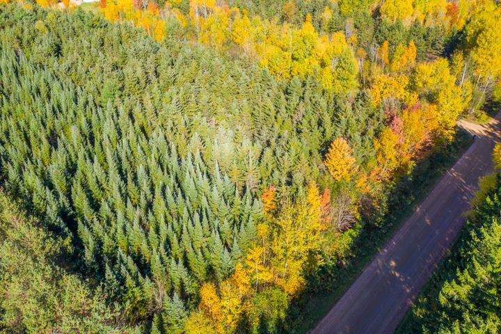 39.5 acres Land Art Road - Photo 1