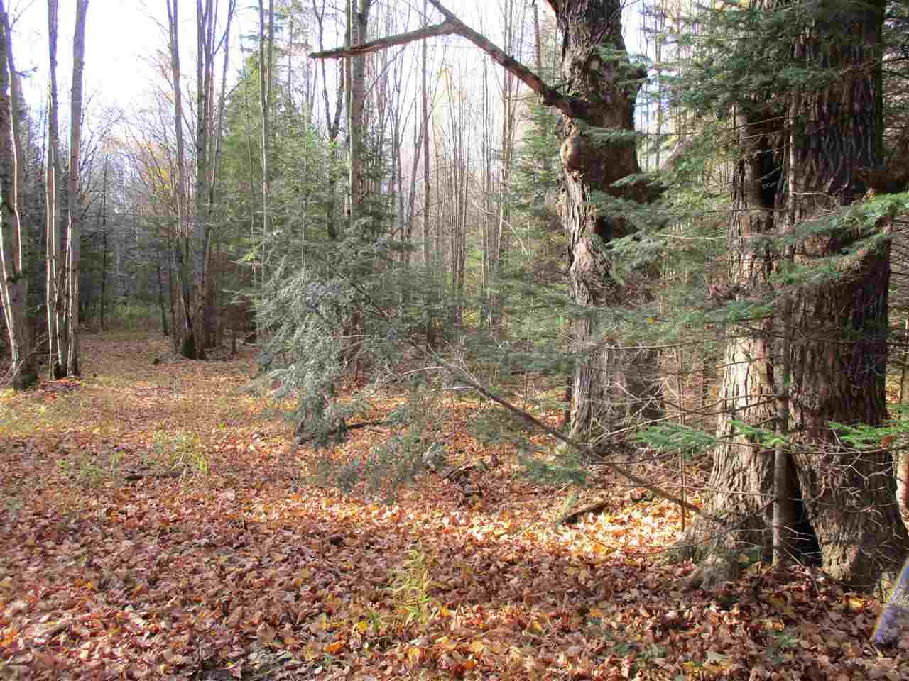 +/-68.38 Acres Water Drive - Photo 1