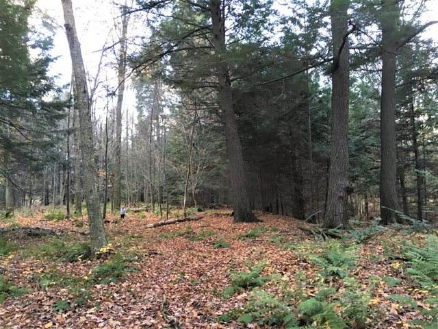42.34 Acres County Road N - Photo 1