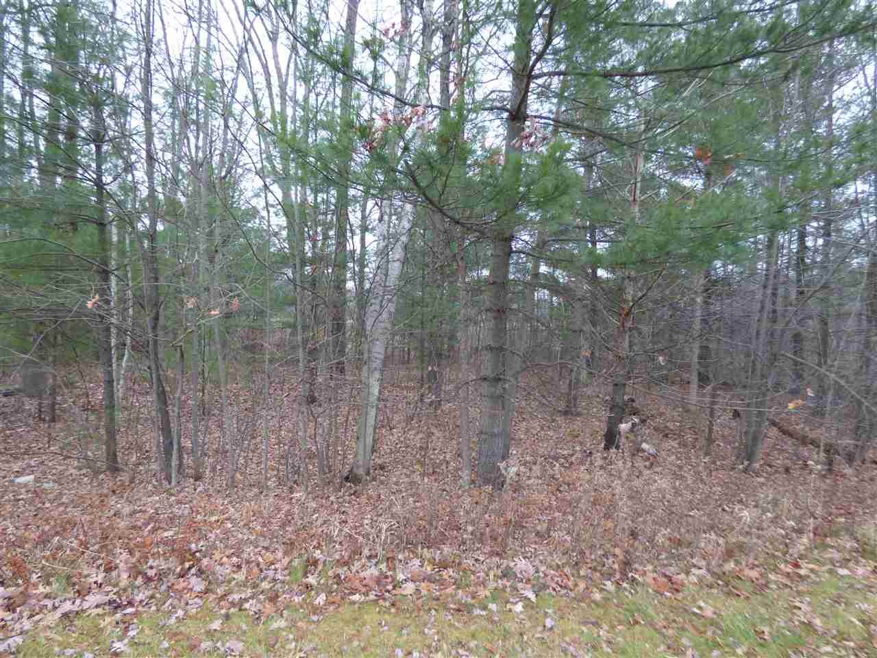 Lot 7 Eagle Summit - Photo 1