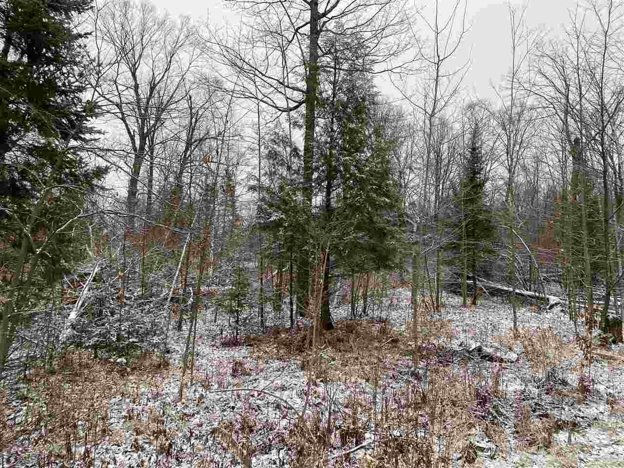 LOT 51 Chip N Dale Drive - Photo 1