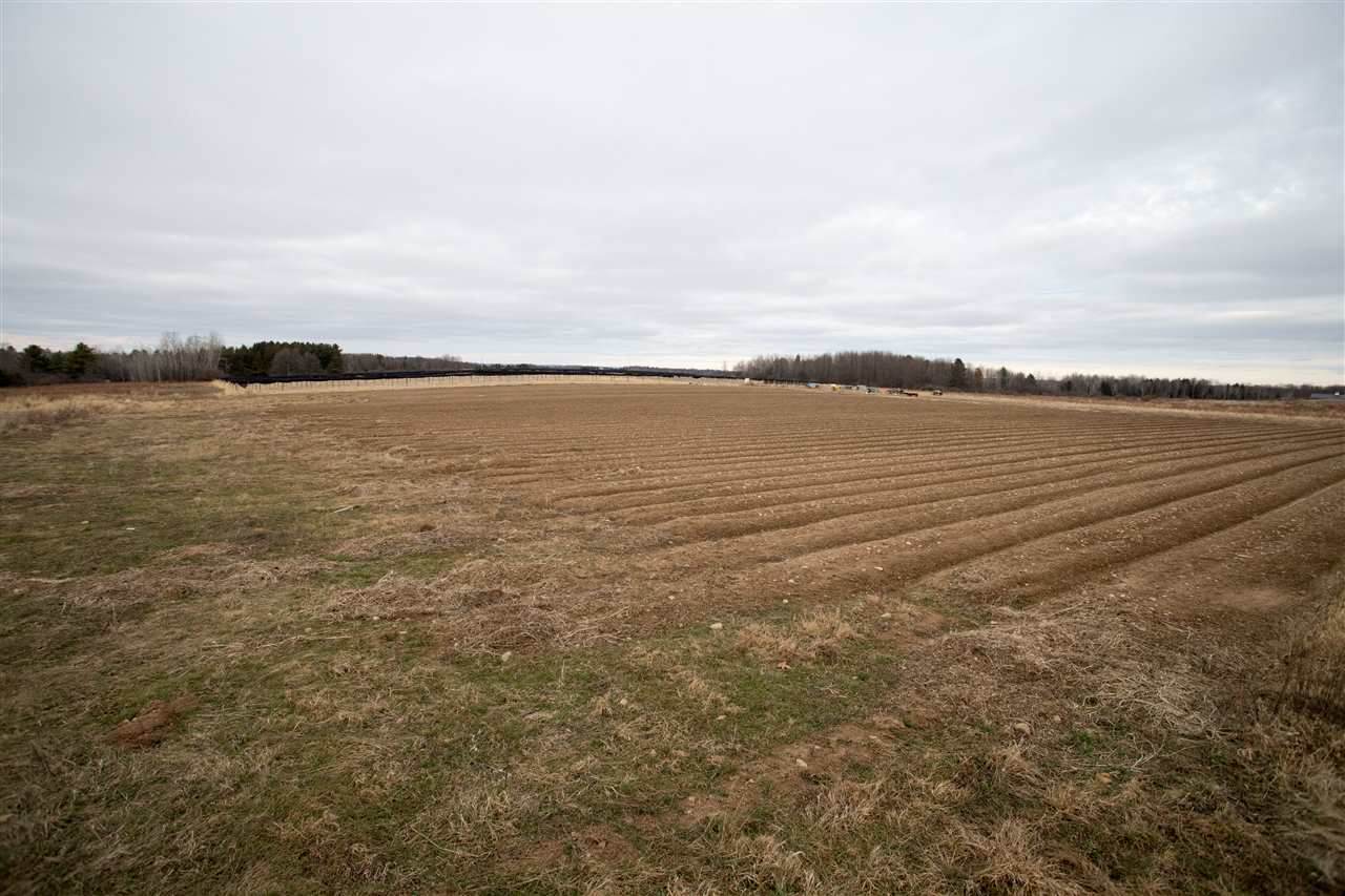 29.22 acres County Road Z - Photo 1