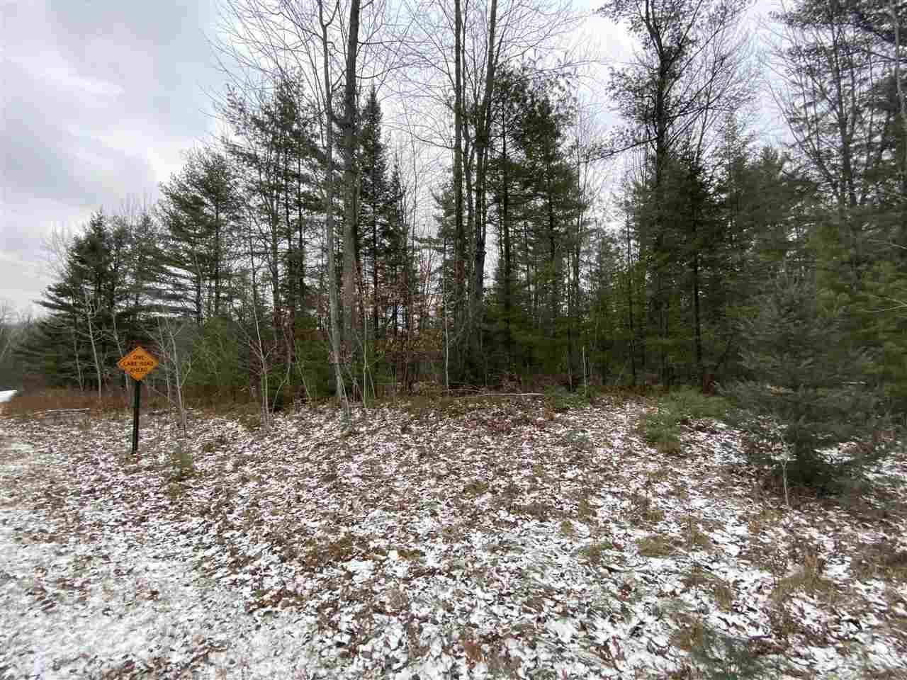 0000 Menominee Shores Drive - Photo 1