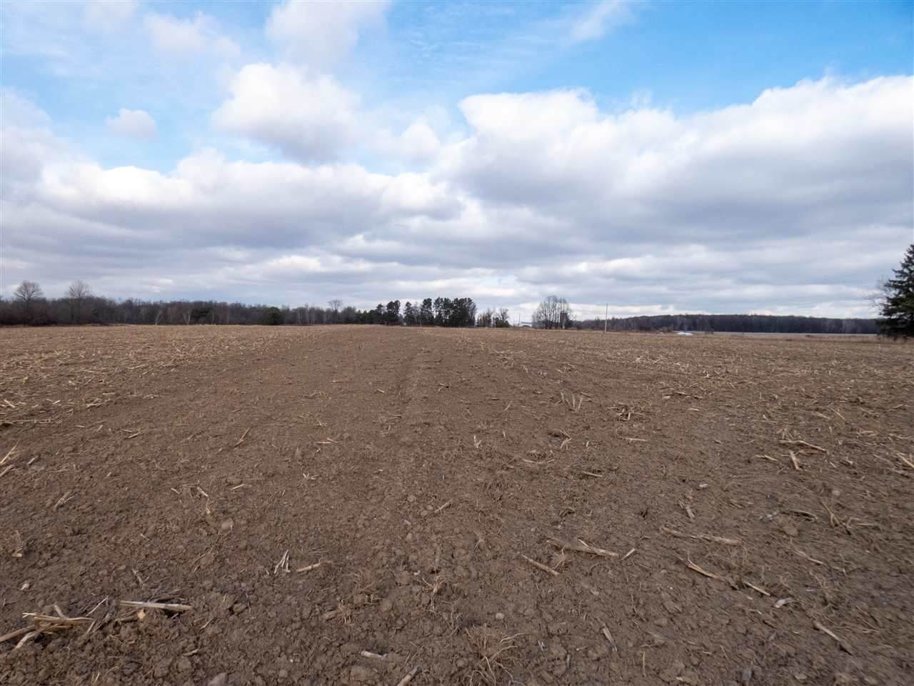 Lot 3 Hiline Avenue - Photo 1