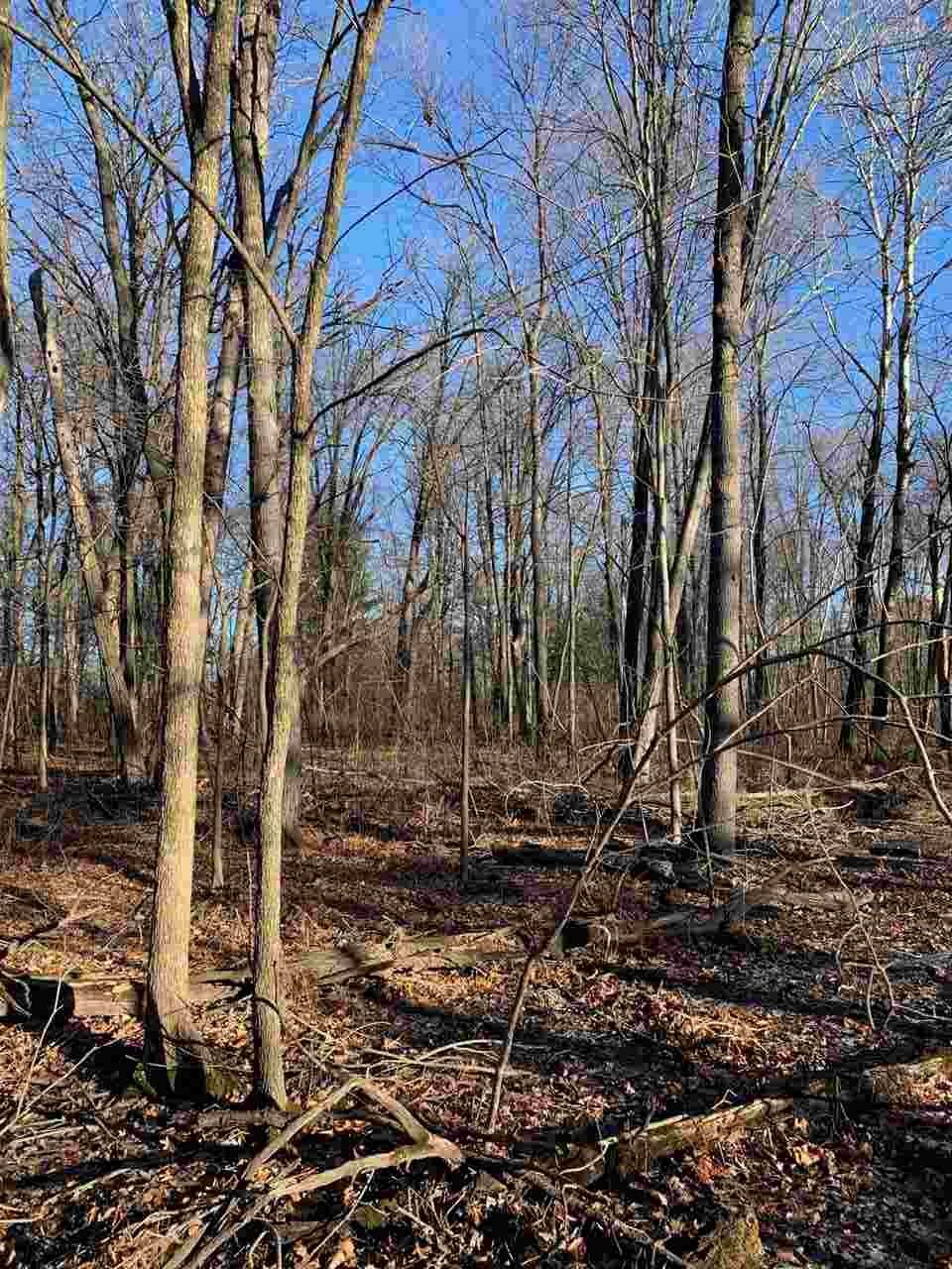 Schroeder Road - Photo 1