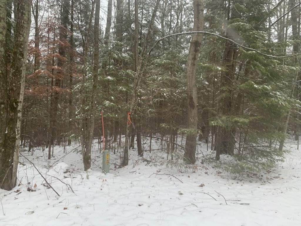 1 Acre E Lot 4 Lake 19 Road - Photo 1