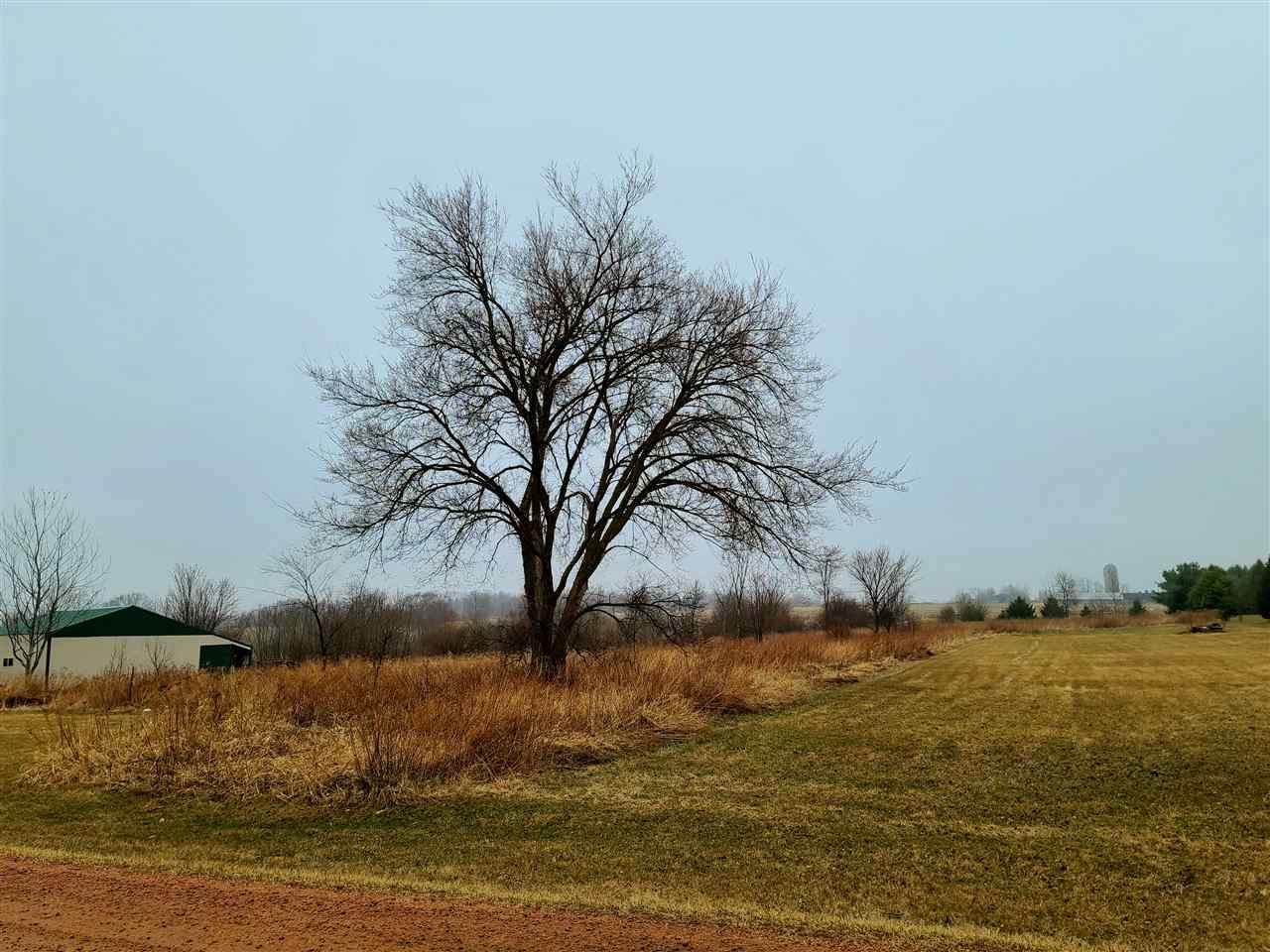 128950 Balsam Road - Photo 1