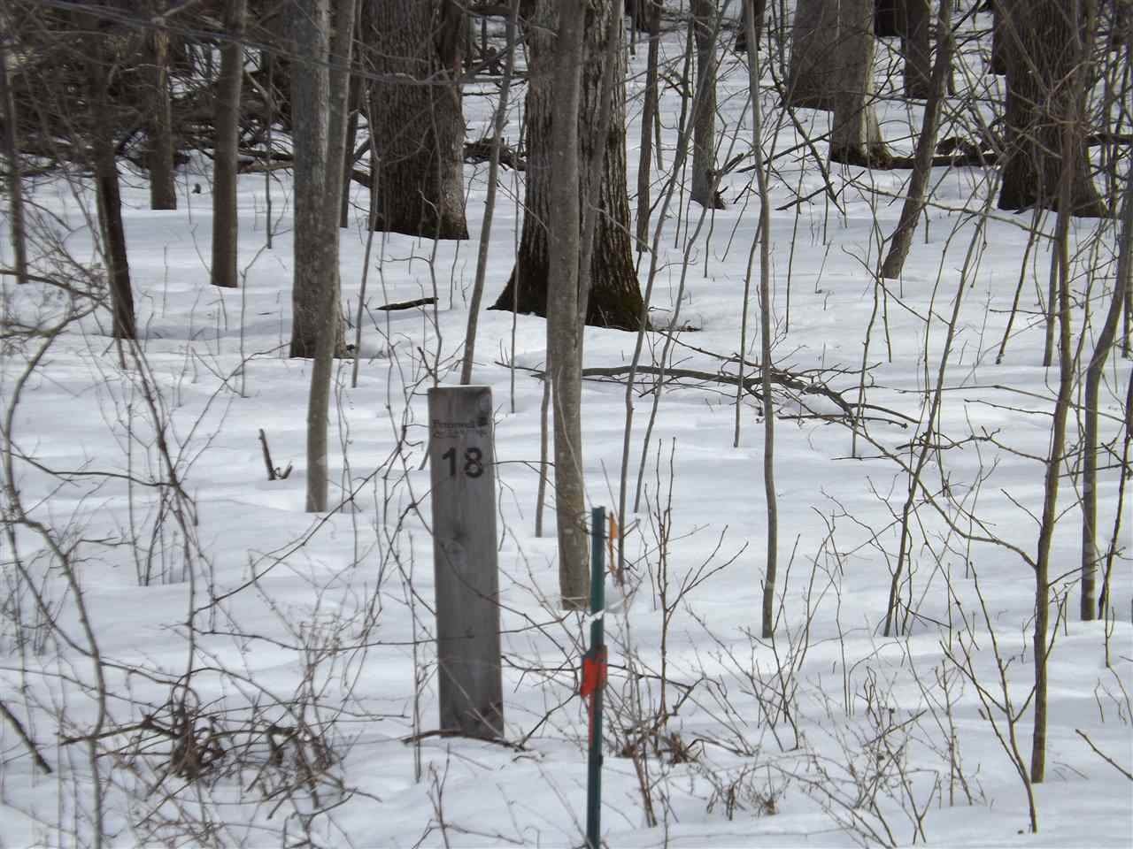 L18 Badger Lane - Photo 1