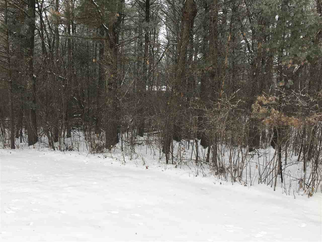 2441 Abby Lane - Photo 1