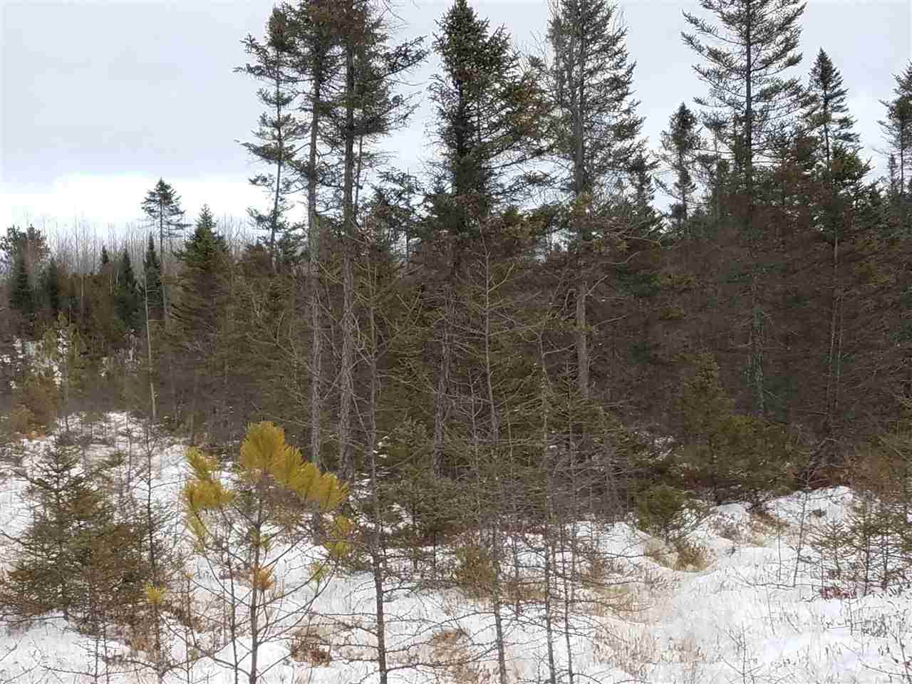 Yellow River Road - Photo 1