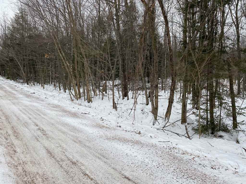 15.65 Acres Prehn Drive - Photo 1