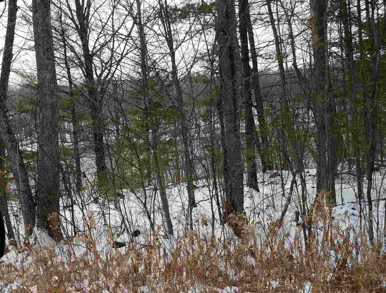 Lot 22 Rivers Edge Estates - Photo 1