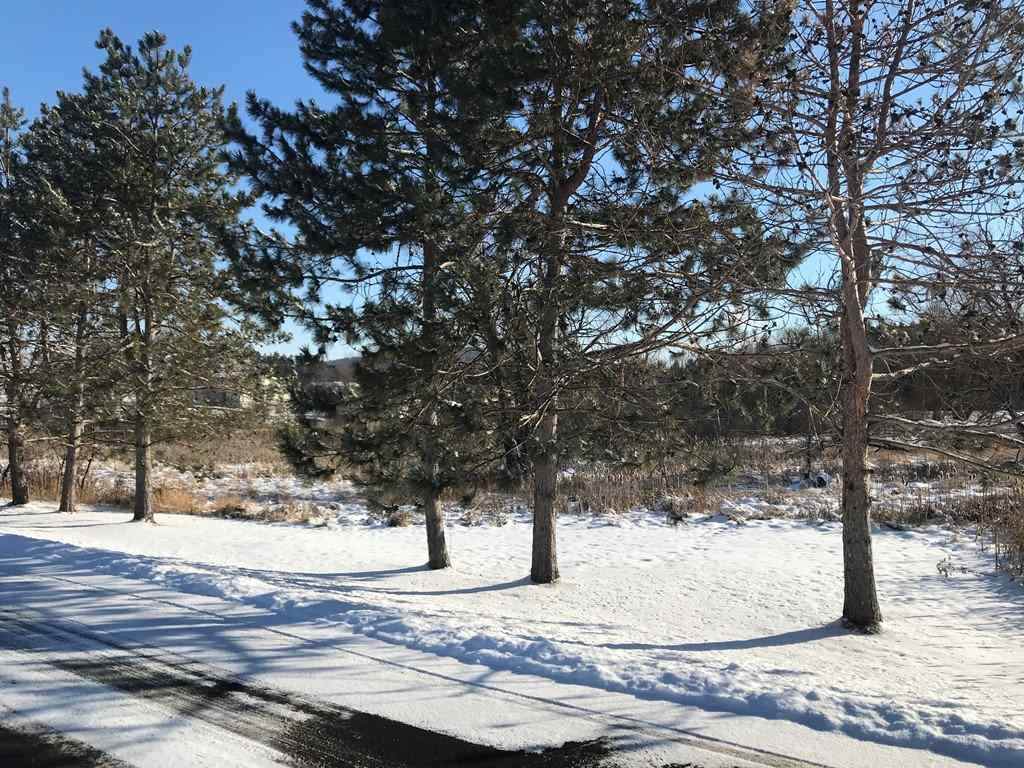 Lot 13 Strawberry Lane - Photo 1