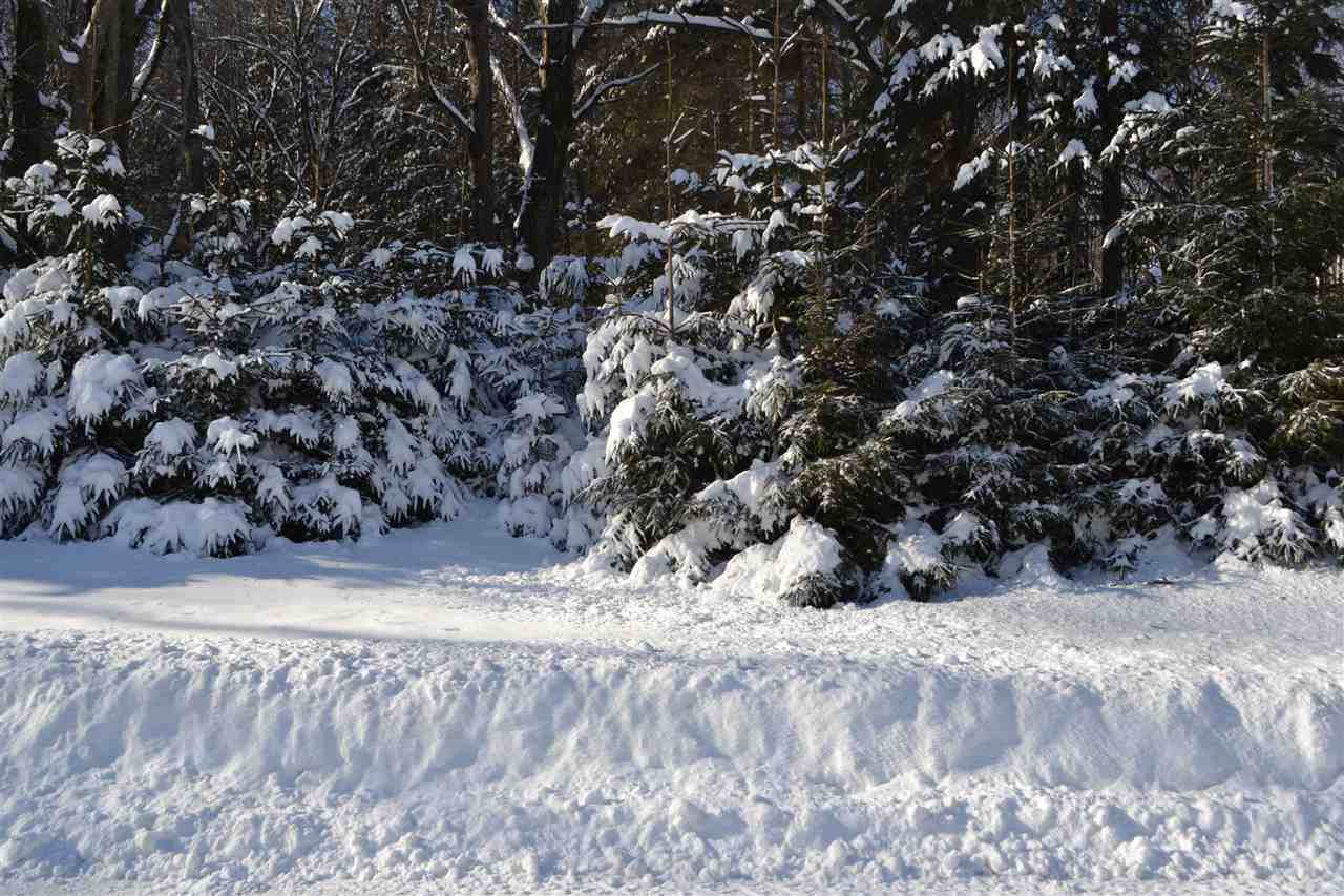 Lot 25 Deer Tail Lane - Photo 1