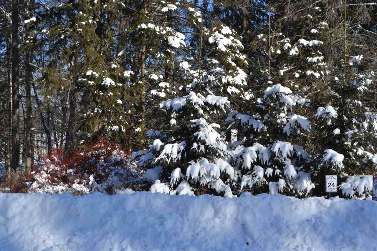 Lot 24 Deer Tail Lane - Photo 1