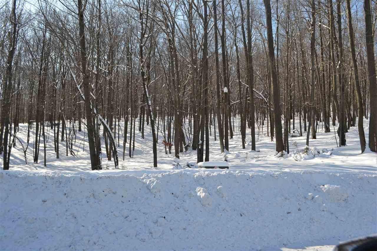 Lot 32 Buck Wood Lane - Photo 1