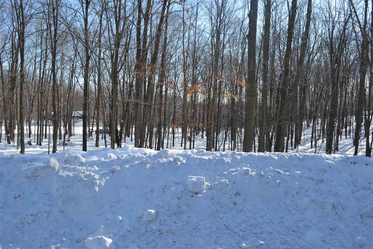 Lot 33 Buck Wood Lane - Photo 1
