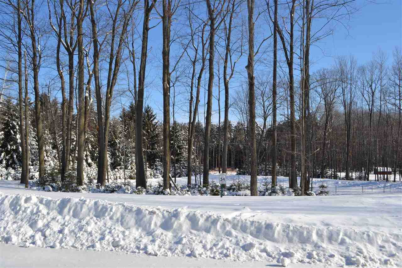 Lot 34 Buck Wood Lane - Photo 1