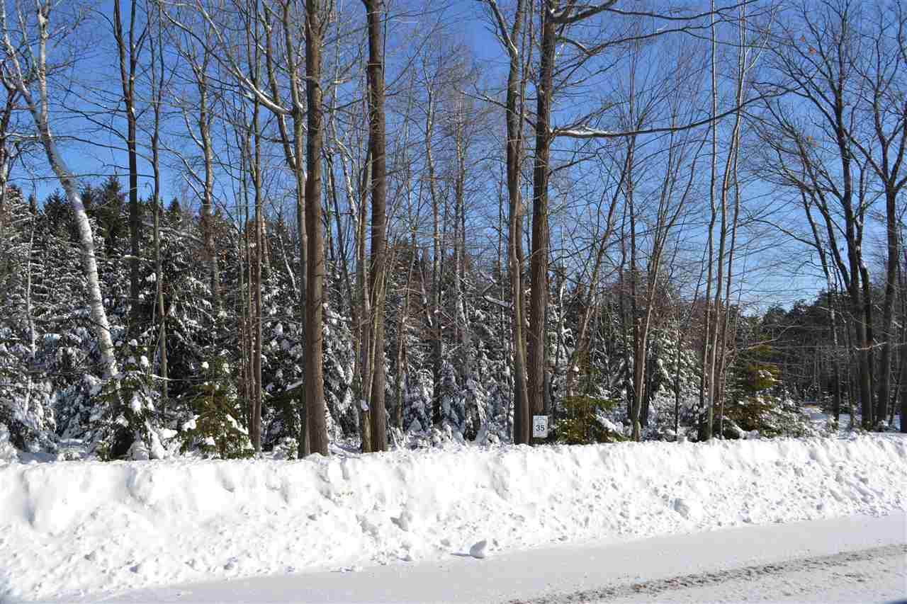 Lot 35 Buck Wood Lane - Photo 1