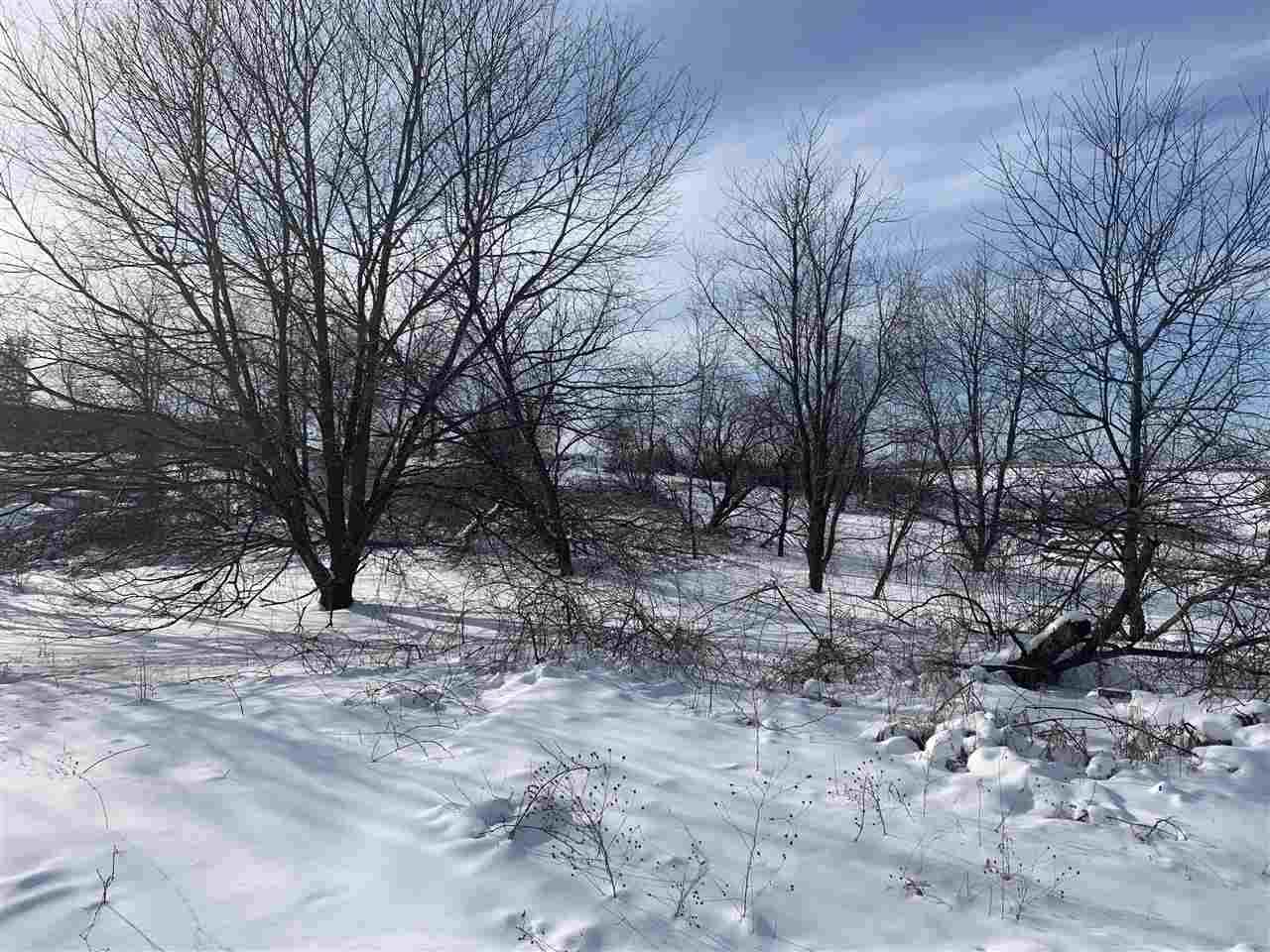 Lot 16 Chokecherry Lane - Photo 1