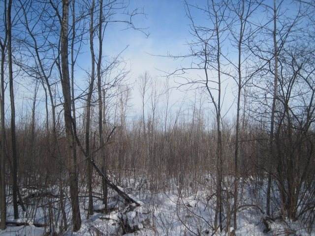 Lot 2 Fox Lane - Photo 1