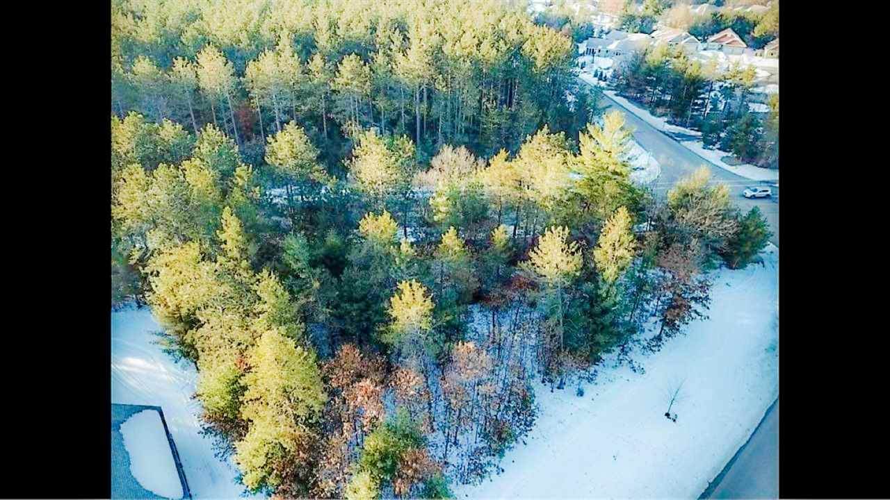 2390 Timber Ridge Drive - Photo 1