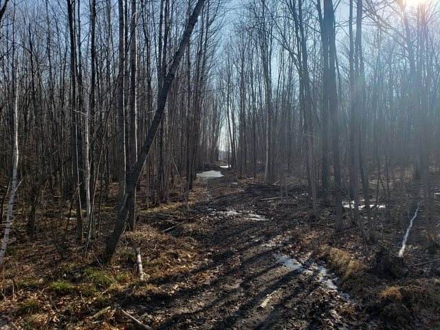 W10300 Starks Road - Photo 1