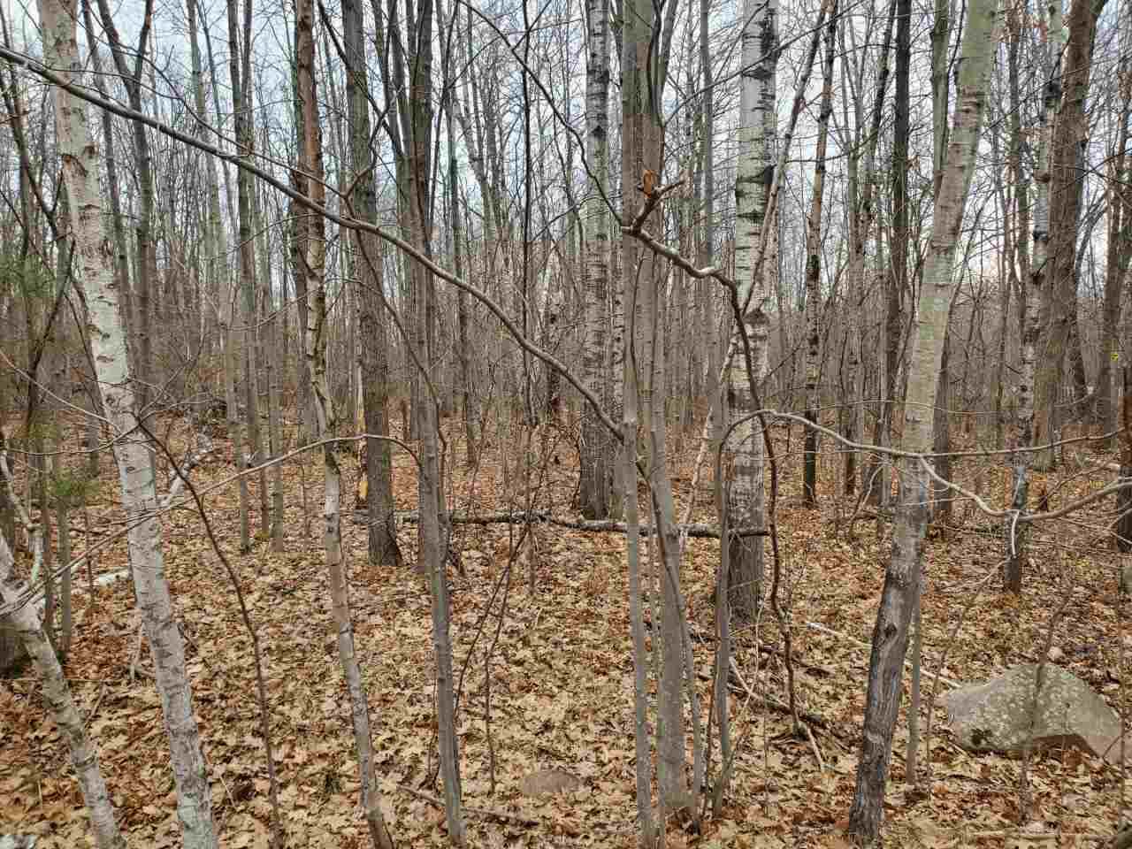Lot 4 County Road Kk - Photo 1