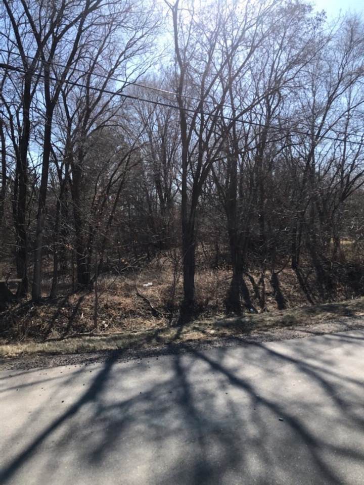 Lot 2 Townline Road - Photo 1